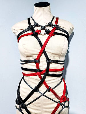 Decorative shibari'