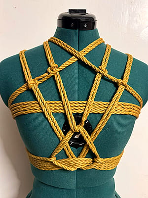 Some sort of chest harness'