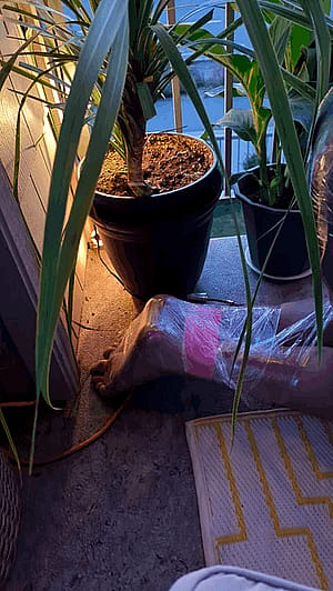 Savoring a drink as the world passes by on my busy balcony—my mummified slave serving as the perfect footrest'