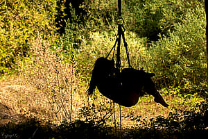 Self suspension in Abandonned quarry'